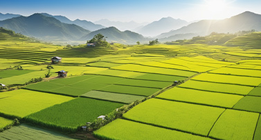 富多安  深耕大健康蓝海，诚邀合伙人共赴新程